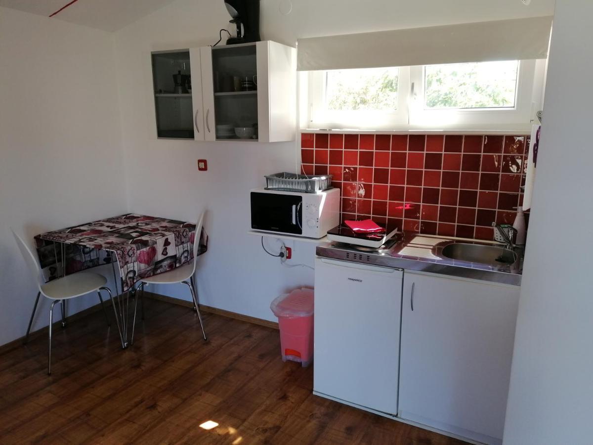 Nice Studio Near Centar+Free Parking Rovinj Buitenkant foto